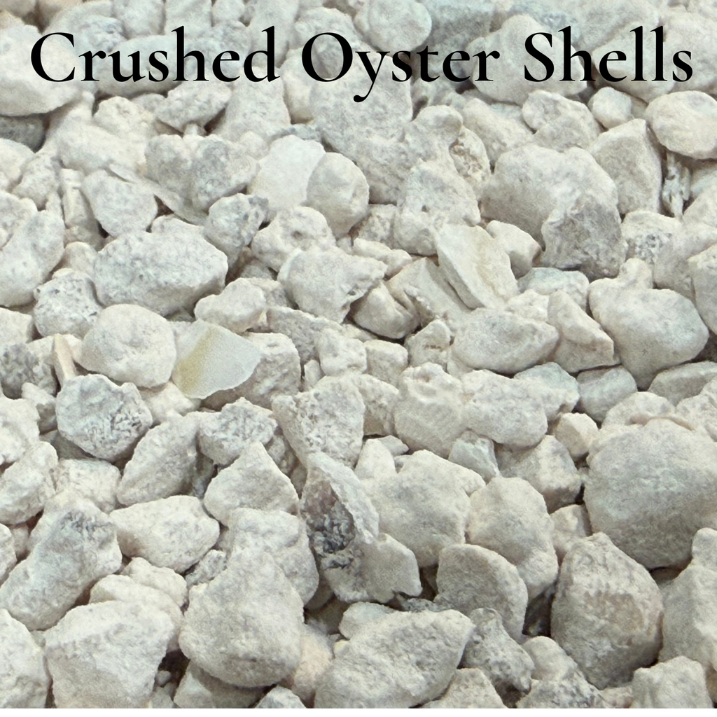 Crushed Oyster Shells
