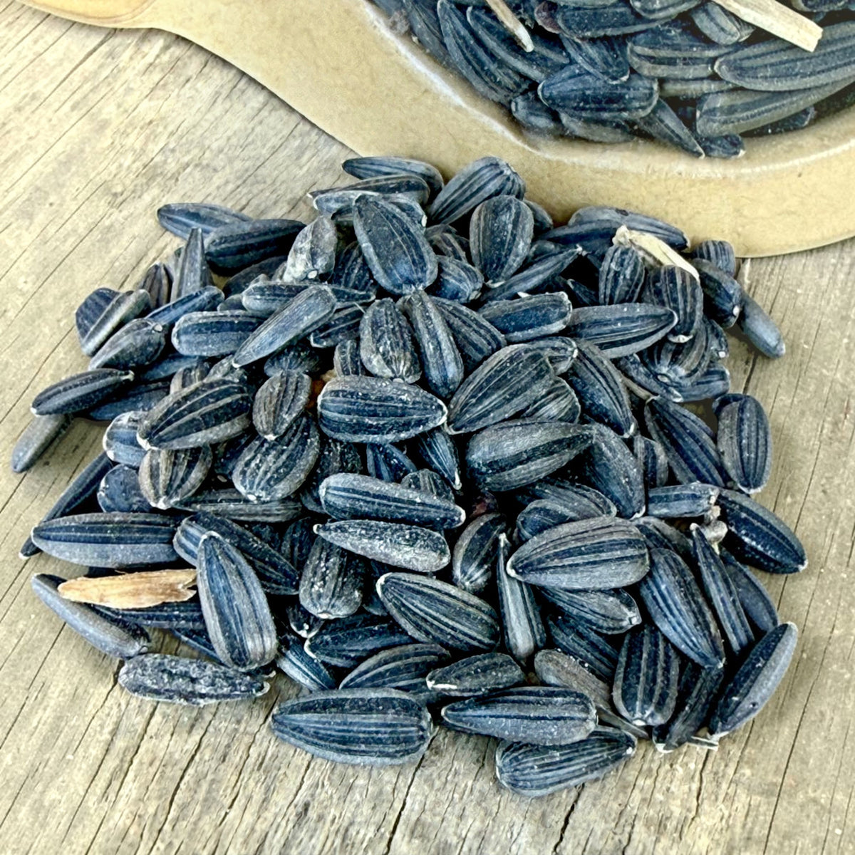 Organic Black Oil Sunflower Seeds