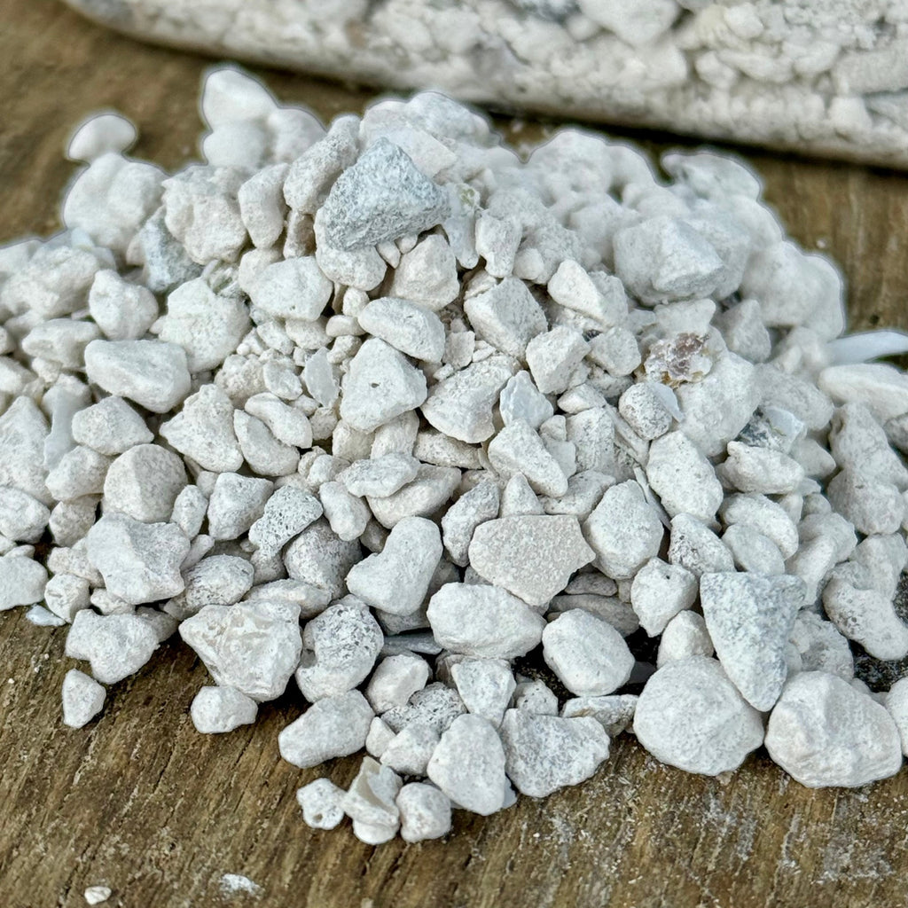 Crushed Oyster Shells