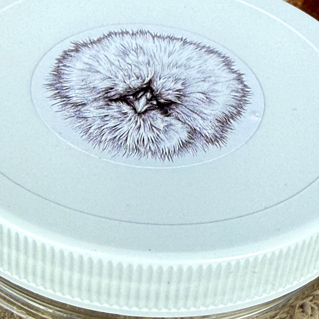 Organic Herbal Silkie Sand™