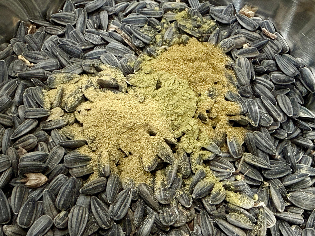 Immunity Boosting Organic Black Oil Sunflower Seed Treat™