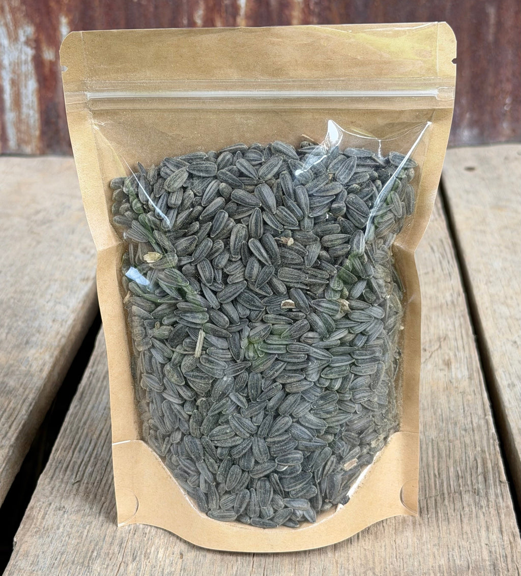 Immunity Boosting Organic Black Oil Sunflower Seed Treat™