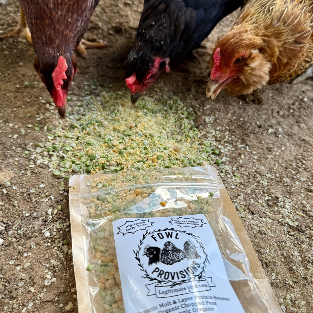Organic Molt & Layer Protein Booster™