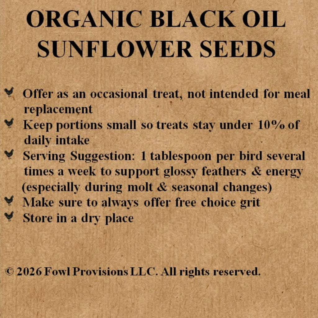 Organic Black Oil Sunflower Seeds
