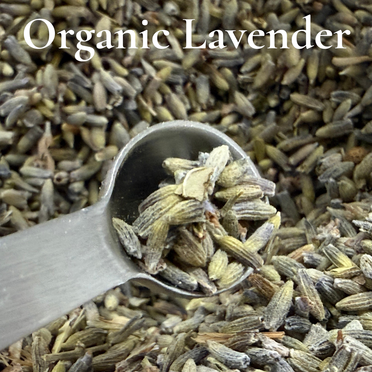 Organic Herbal Silkie Sand™