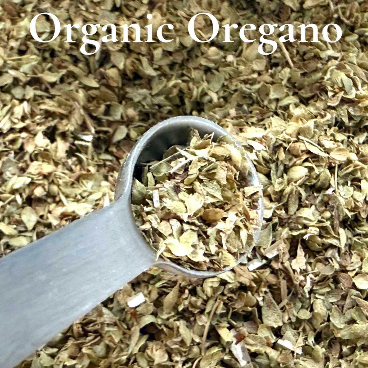 Organic Molt & Layer Protein Booster™