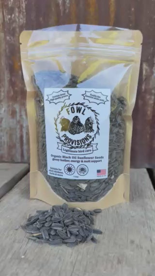 Organic Black Oil Sunflower Seeds